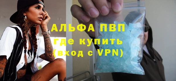 spice Аркадак
