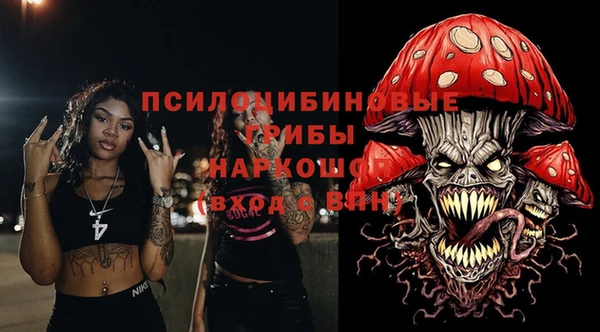 экстази Арсеньев