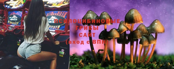 экстази Арсеньев