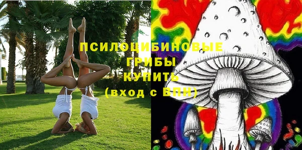 экстази Арсеньев